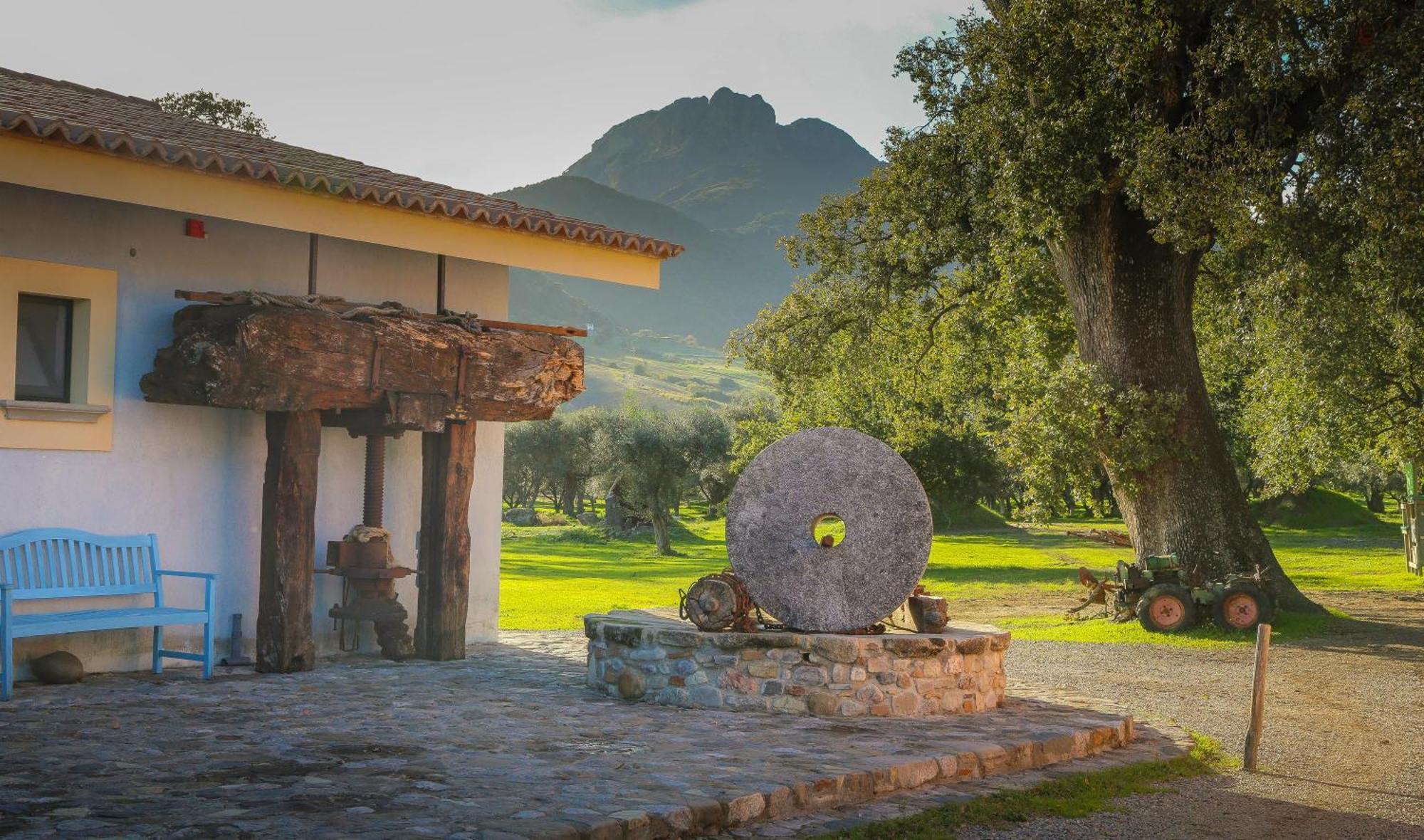 Barone Gr Macri Agriturismo Modi Gerace Εξωτερικό φωτογραφία