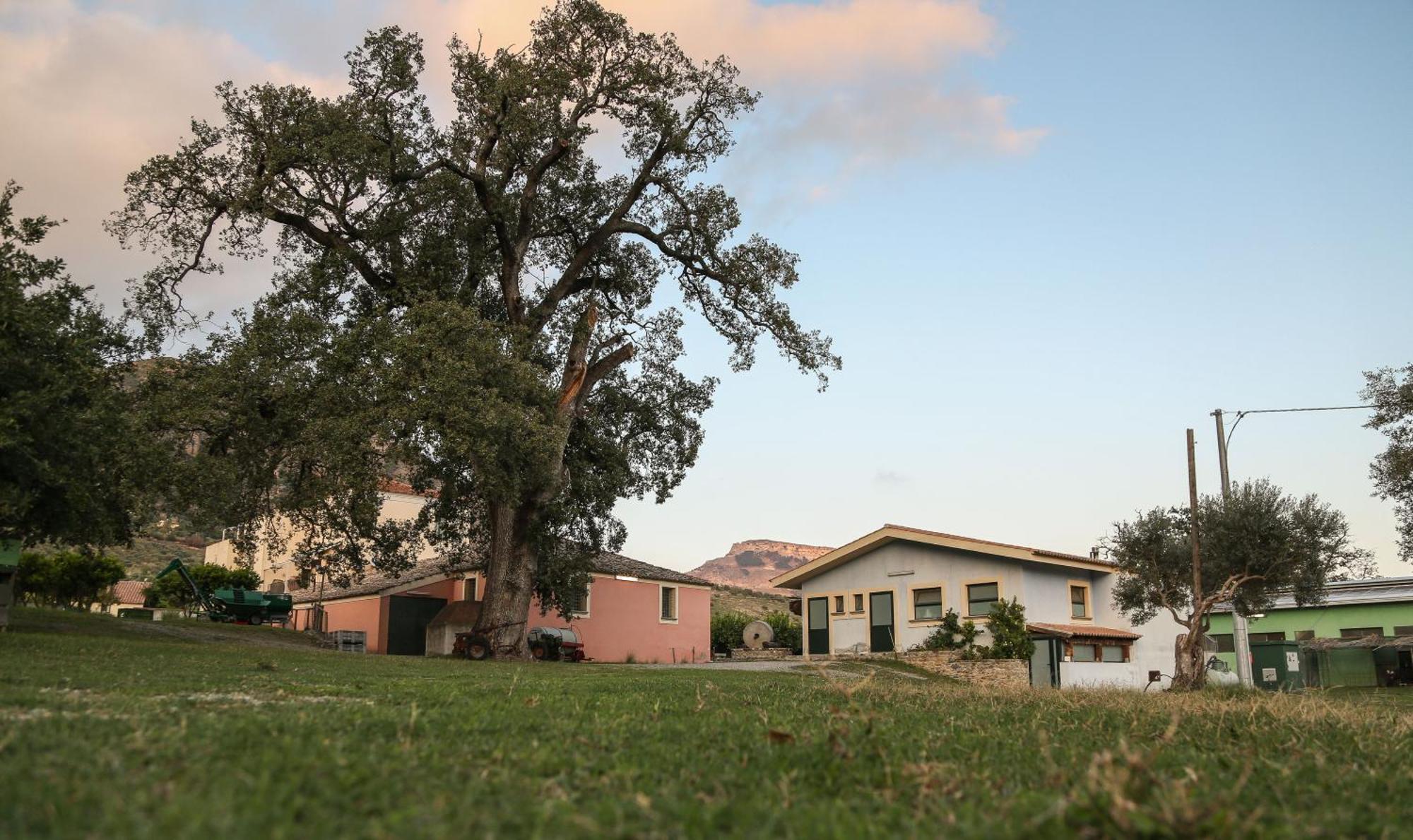 Barone Gr Macri Agriturismo Modi Gerace Εξωτερικό φωτογραφία